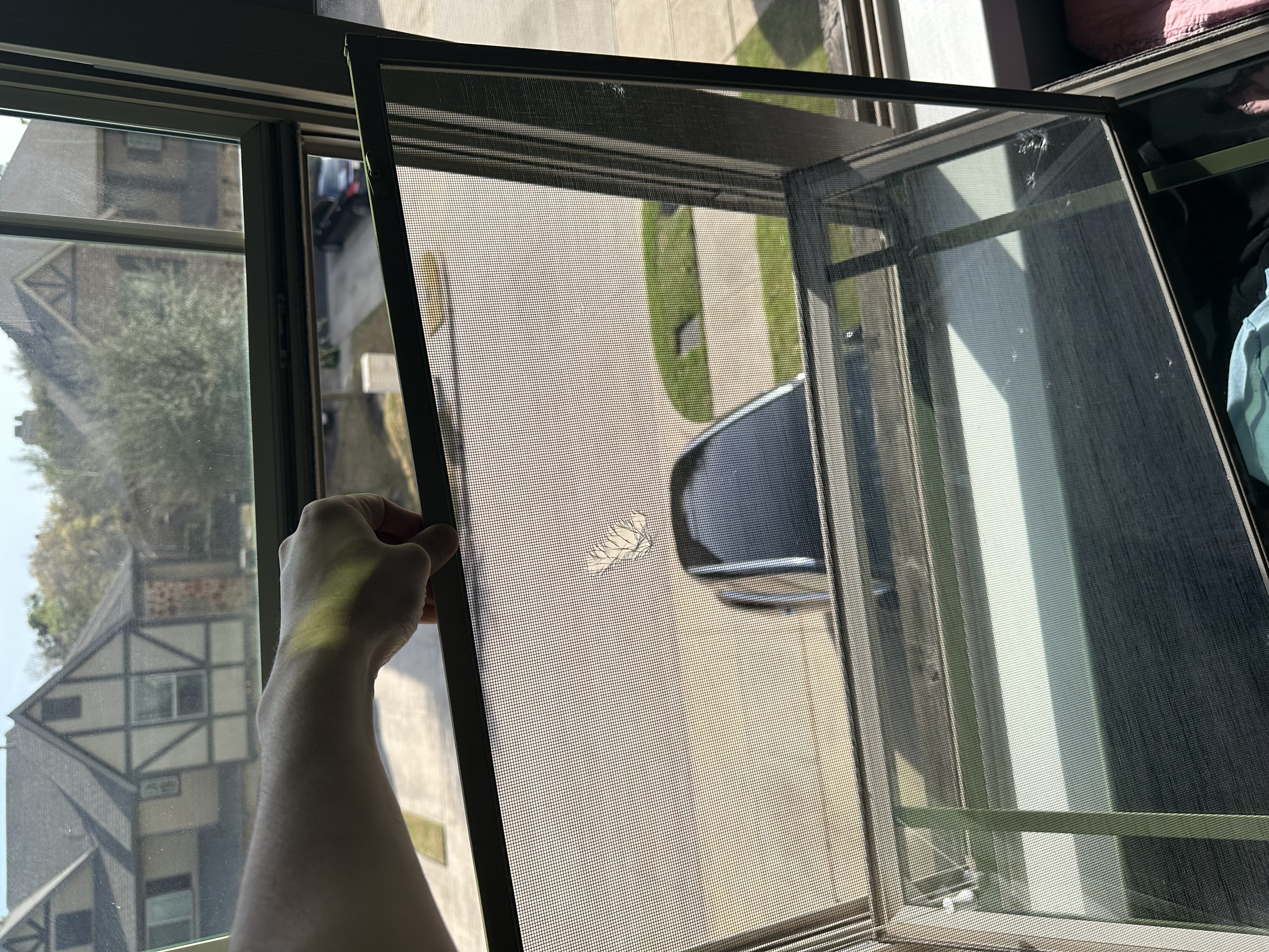 Window screen installation in progress